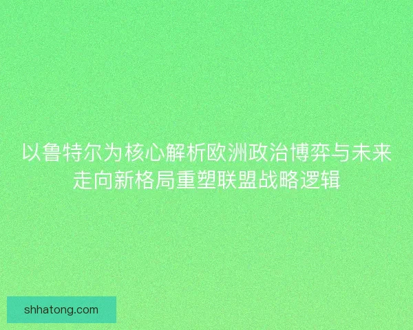 以鲁特尔为核心解析欧洲政治博弈与未来走向新格局重塑联盟战略逻辑