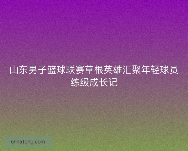 山东男子篮球联赛草根英雄汇聚年轻球员练级成长记